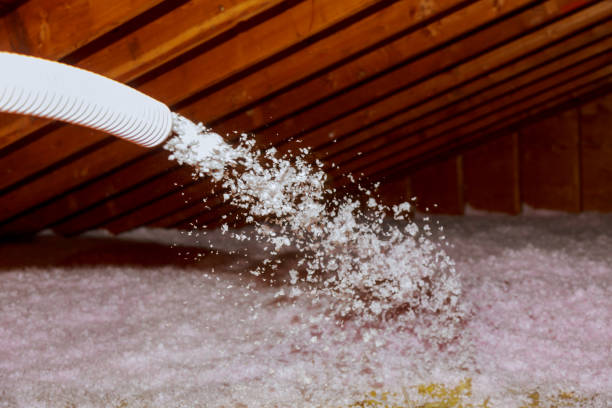 Best Blown-In Insulation  in Litchfield Park, AZ