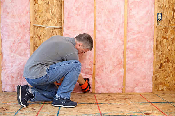 Types of Insulation We Offer in Litchfield Park, AZ