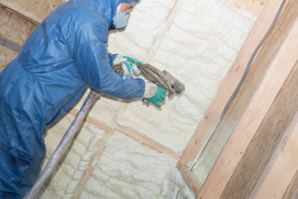 Best Spray Foam Insulation  in Litchfield Park, AZ